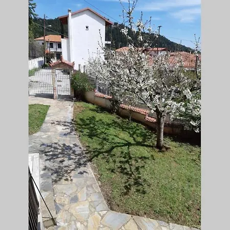 Pavliani Country House アパート パヴリアニ